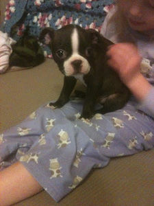 Meet your Posher, Islay